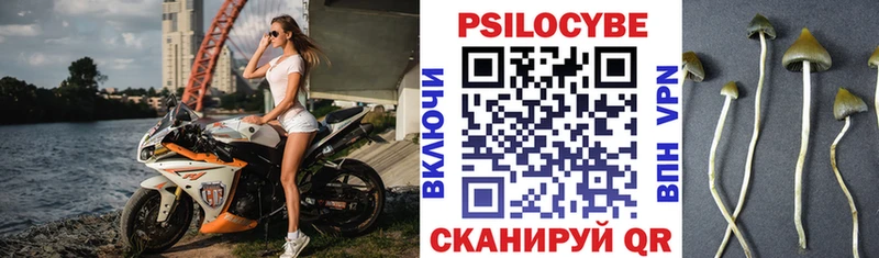 Псилоцибиновые грибы Magic Shrooms  магазин    KRAKEN ссылка  Морозовск 